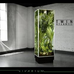 Twin Atlantic : Vivarium